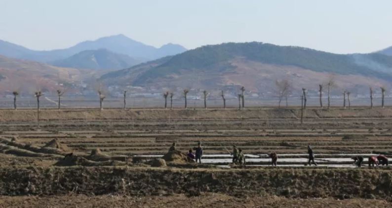 국제 원조기구의 대북 식량지원이 급감하면서 식량난이 가중된 북한의 농촌 모습. ⒸWFP