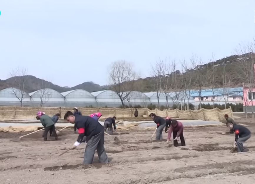 북한 주민들이 밭농사를 짓고 있는 모습.(조선중앙TV 갈무리)